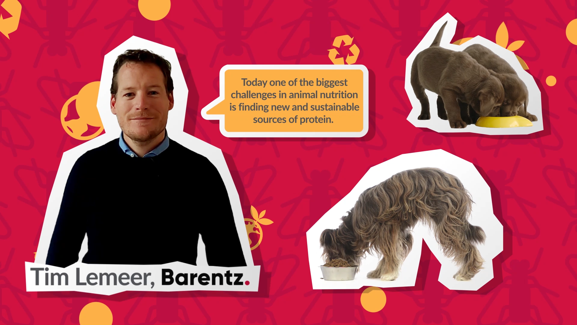 2D Cutout Animation - Tim Lemeer of Barentz explaing the challenges finding sustainable sources of protein for pet food